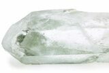 Himalayan Chlorite Phantom Quartz Crystal with Epidote #242015-1